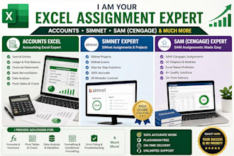 be your excel, simnet, cengage, accounts assignment project expert