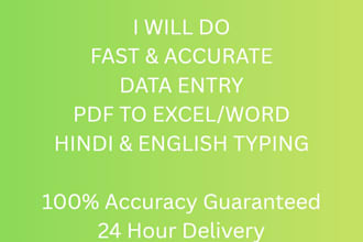 fast data entry, excel work, ms word typing, hindi typing expert