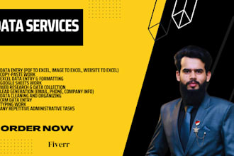 do data entry, excel data entry, web research, and lead generation
