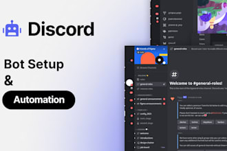 set up discord bots and automation for your server