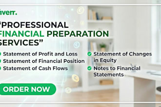 prepare ifrs or gaap financial statements with ratio analysis for your business