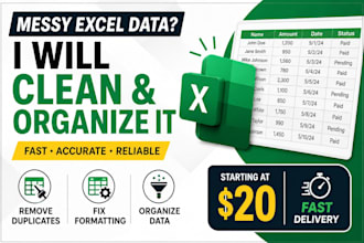 clean,format,organize and process excel data or CSV data