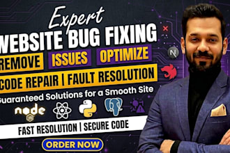 fix bugs and remove issues in your website