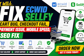 fix ecwid sellfy cart bug checkout fail payment issue mobile speed seo fix