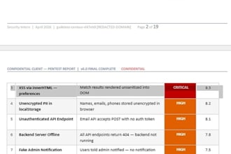 perform a professional web application penetration test and security audit