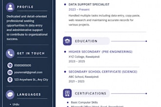 make professional resume CV for job application