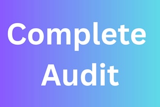 do complete audit for your website