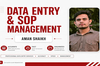 do data entry, excel cleaning, and tally erp 9 service