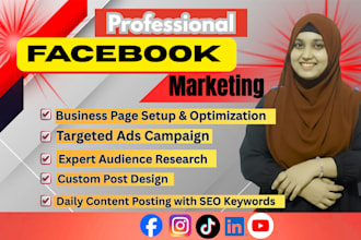 do professional facebook page setup and ads campaign