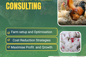 provide poultry farming consulting and agribusiness advice