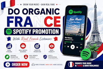 la promotion musicale sur spotify en france