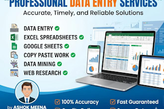 do professional data entry and excelwork
