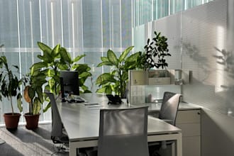provide professional IT support and system troubleshooting