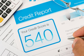 provide professional credit repair and credit report analysis