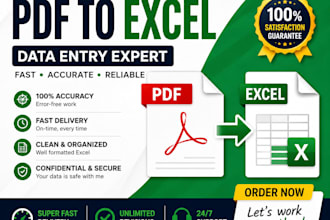 do accurate excel data entry, copy paste and web research