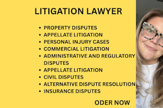 handle business compliance disputes, regulatory issues and corporate risk cases