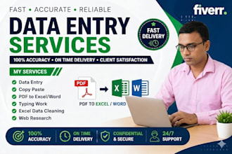 accurate data entry, copy paste, web research and excel work