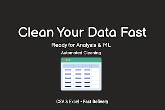 clean and organize your excel or CSV data professionally