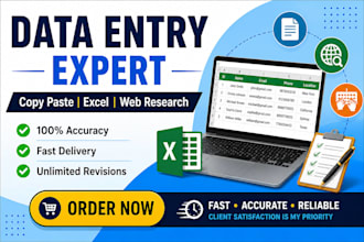 do fast data entry and excel work
