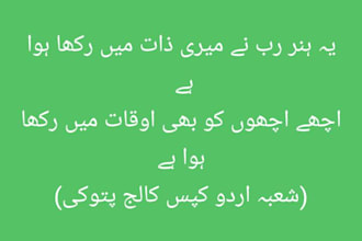 do fast urdu typing and data entry