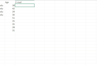 do fast and accurate data entry and copy typing