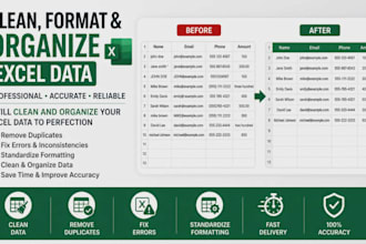 clean, format, and organize excel data professionally