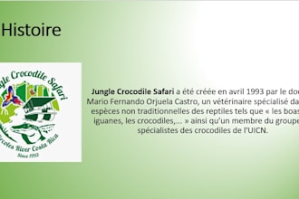translate your content in french
