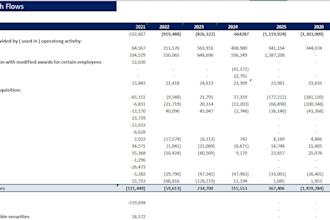 provide investor ready financial models, forecasts, projections or business plan