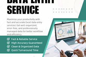 fast excel data entry with 100 accuracy and quick delivery