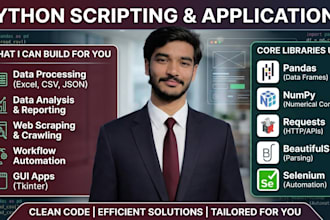 develop python automation scripts, web and desktop apps