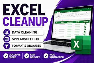 clean, format, organize and fix excel spreadsheets