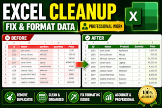 clean, format, organize and fix excel or CSV data professionally