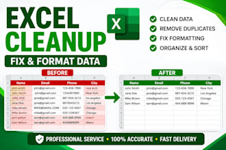 professionally clean, sort, format and organize excel or CSV files