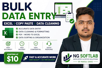 bulk data entry in excel, data cleaning and formatting