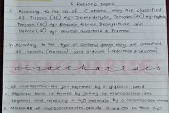 write anything by hand neatly