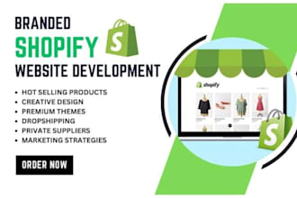 do store audit design or redesign shopify  website, shopify store dropshipping