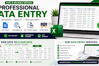 do accurate data entry, excel data entry, copy paste