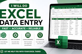 1 excel data entry task and organize your spreadsheet