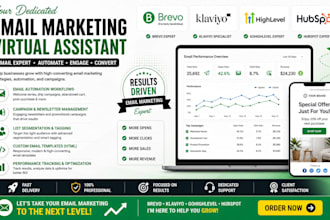 brevo klaviyo gohighlevel hubspot email marketing virtual assistant email expert