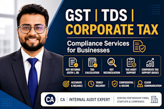 handle your gst, tds, mis reports and accounting tasks