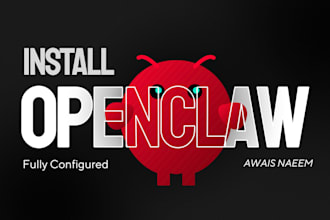 install and setup openclaw