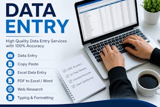 do data entry, excel work and financial analysis accurately