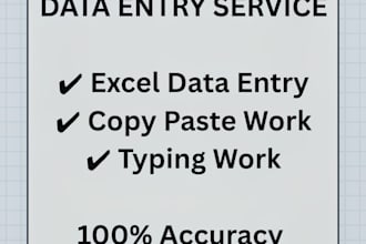 do data entry professionally