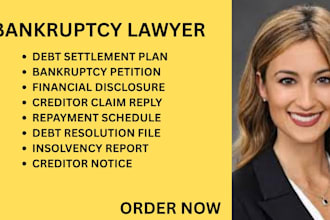 handle bankruptcy cases, debt relief and creditor dispute documents