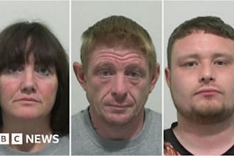 bury negative news, mugshots and harmful content online
