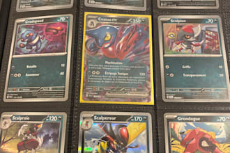 trier, organiser et ranger votre collection de cartes pokémon dans un classeur