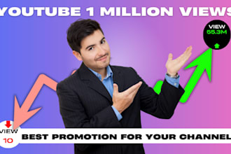organic youtube channel video, livestream SEO ads promotion 1 million sub views