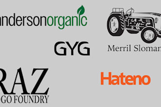 design a professional logo