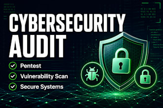 do cybersecurity audit, vulnerability assessment and penetration testing