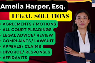 assist self represented litigants with divorce, custody, and family court filing